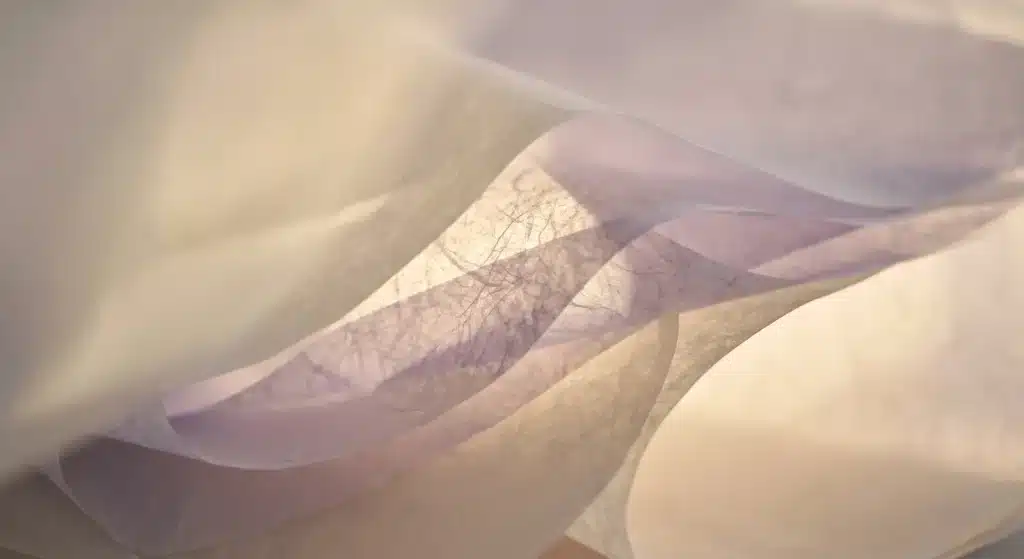 Voiles translucides lavande et crème superposés en contre-jour
